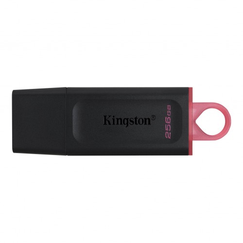 "Kingston DataTraveler Exodia" USB atmintinė - 256 GB-Prino