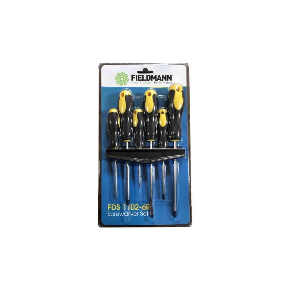 Atsuktuvų rinkinys FIELDMANN FDS 1102-6R 6vnt-Atsuktuvų Atsuktuvų rinkinys FIELDMANN FDS 1102-6R 6vnt-Atsuktuvų