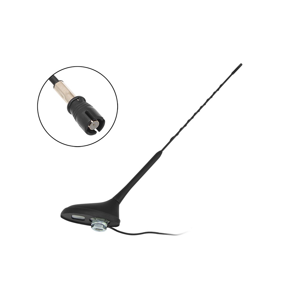 Automobilių antena Peugeot Citroen-Pagrindinis