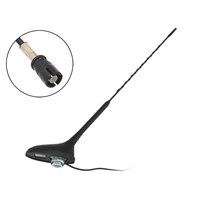 Automobilių antena Peugeot Citroen-Pagrindinis