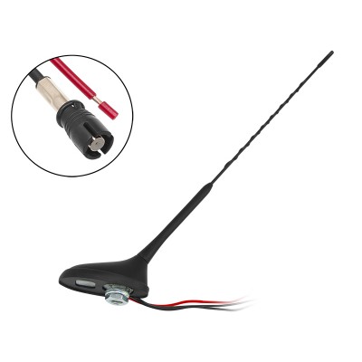 Automobilių antenos Peugeot Citroen-Pagrindinis