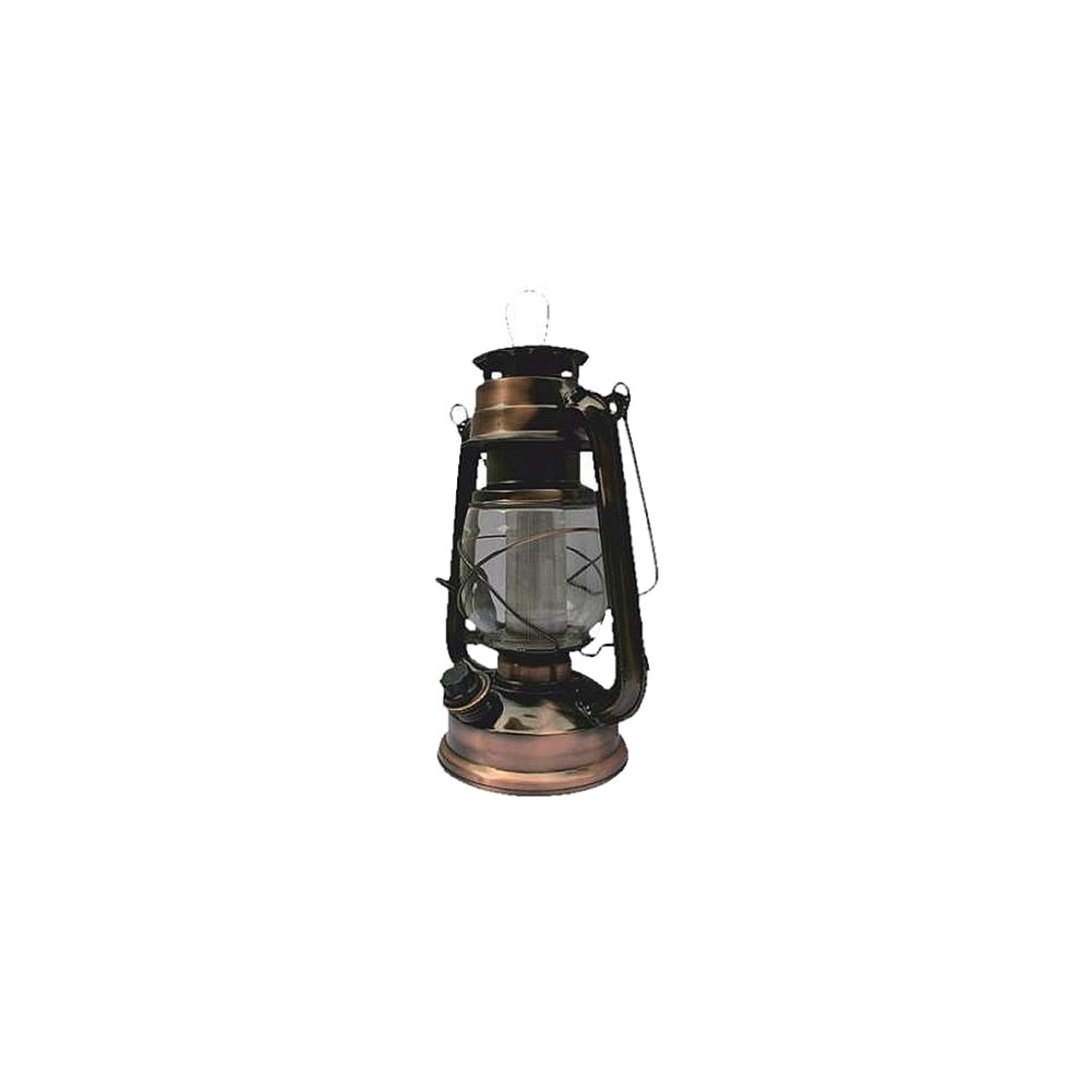 Žibintas LED TES SL2170539X-Namų aksesuarai