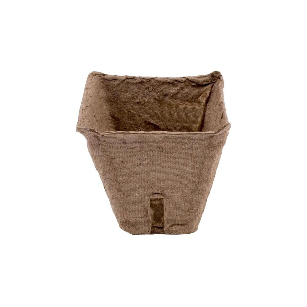 Sodinukas Herrison 6x6cm 20 vnt. pakuotėje.-Sodinukai vazonėliai Sodinukas Herrison 6x6cm 20 vnt. pakuotėje.-Sodinukai vazonėliai