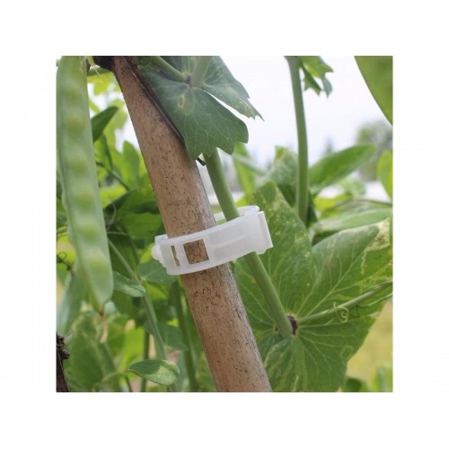 Įrišimo juostos 4L 8070 plastikinės 50 vnt-Auginimo reikmenys