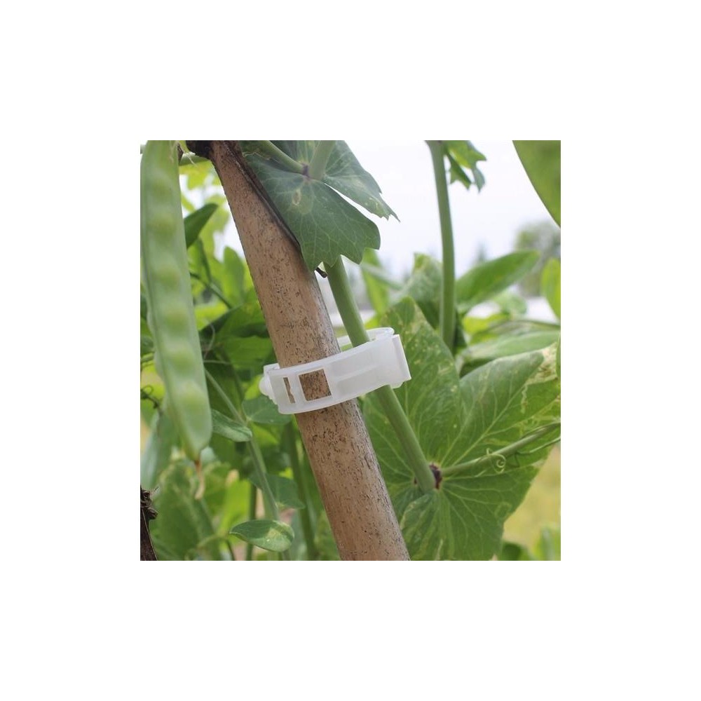 Įrišimo juostos 4L 8070 plastikinės 50 vnt-Auginimo reikmenys
