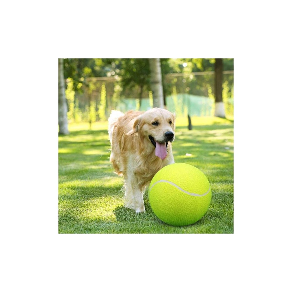 Maxi teniso bateliai 4L 263-Žaislai šunims