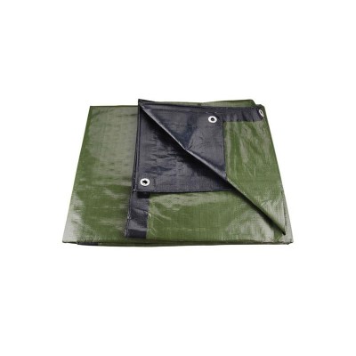Tentas PE vandeniui atsparus itin stiprus 200g/m2 2x3m EXTOL