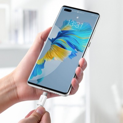 "Baseus Superior" serijos USB kabelis į USB-C, 66 W, 1 m