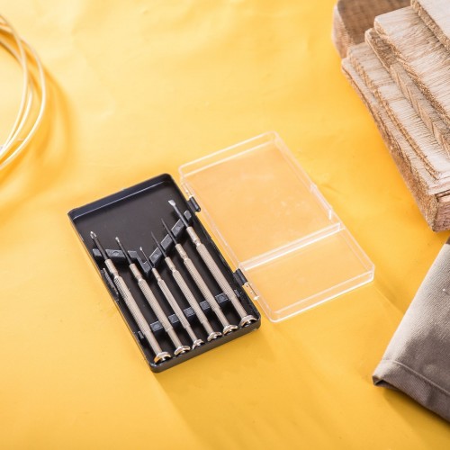 Tiksliųjų atsuktuvų rinkinys 6 vnt. Deli Tools