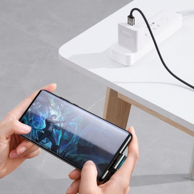 Kabelis iš USB į USB-C Baseus Legend serijos, 66W, 1 m