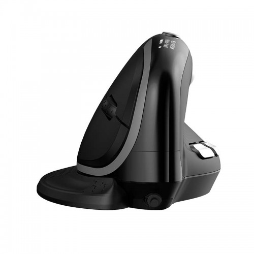 Belaidė ergonominė pelė Delux M618XSD BT+2.4G RGB-Belaidė pelė