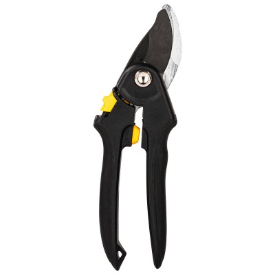 8 colių sodo žirklės Deli Tools EDL2789A (juodos