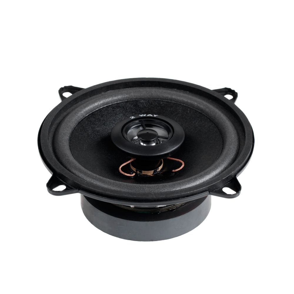 Garsiakalbis sam.5"/2WAY/100W WS-1312TW-Vienos ir dviejų juostų Garsiakalbis sam.5"/2WAY/100W WS-1312TW-Vienos ir dviejų juostų
