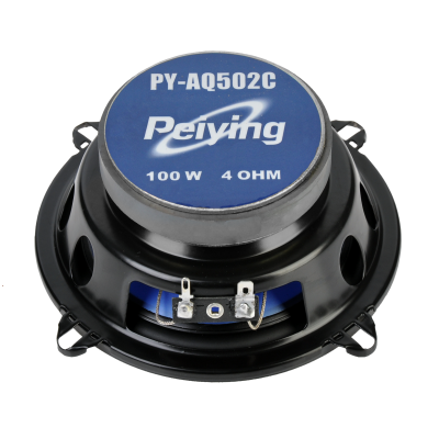 PY automobilinis garsiakalbis-AQ502C 5"-Pagrindinis