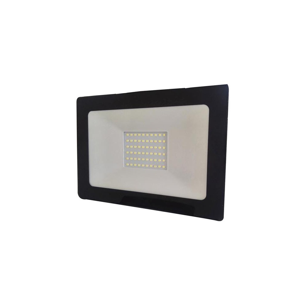 LED prožektorius RETLUX RSL 245 50W-LED prožektoriai