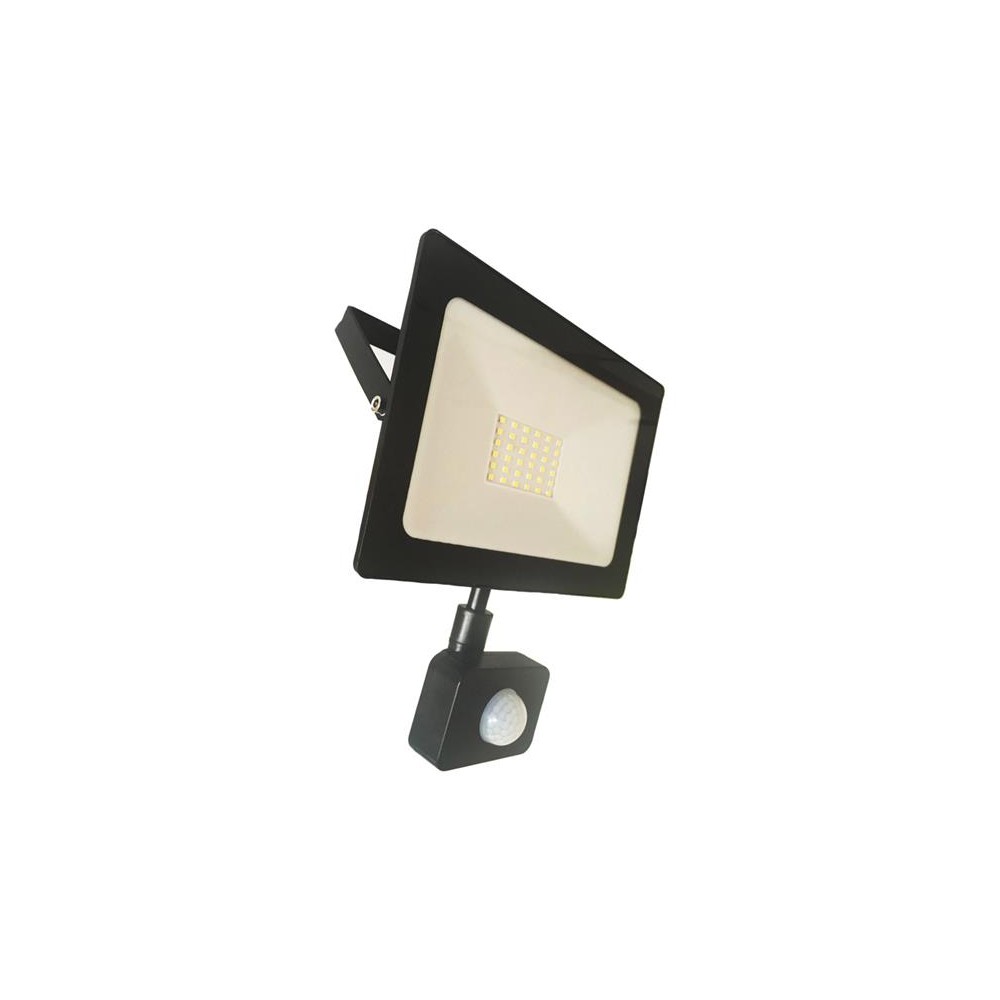 LED prožektorius RETLUX RSL 247 30W PIR-LED prožektoriai