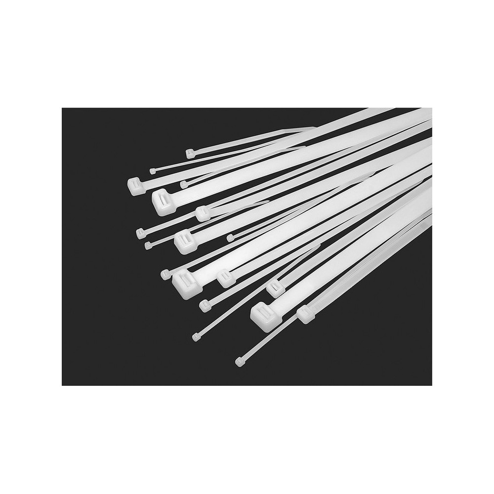 Triticale - Užtraukiamas dirželis 100x2,5 mm - balta -