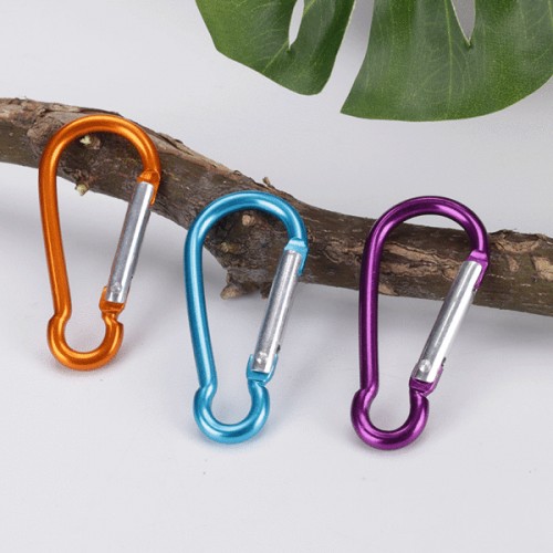Karabinas raktams - 48 mm aliuminio karabinas - spalvų rinkinys