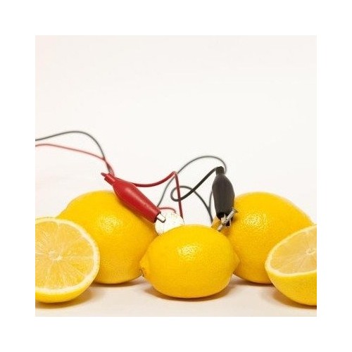 Jungiamasis kabelis 40 cm - šakutės jungtis-krokodilas -