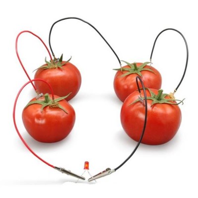 Vaisių baterija - PASIDARYK PATS - Mokslinis eksperimentas -